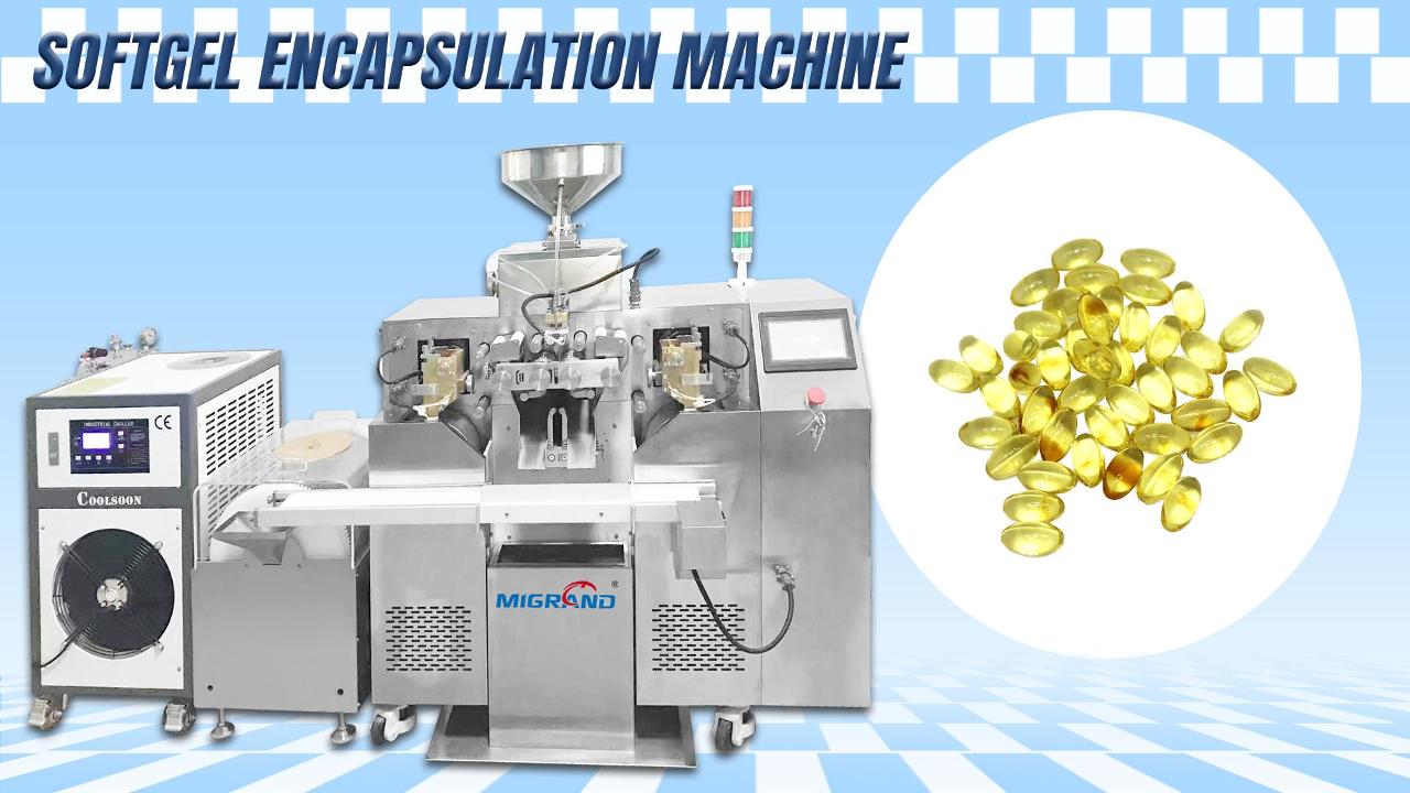 Exportar para a linha de produção da cápsula Softgel de Marrocos com 4 conjuntos de molde